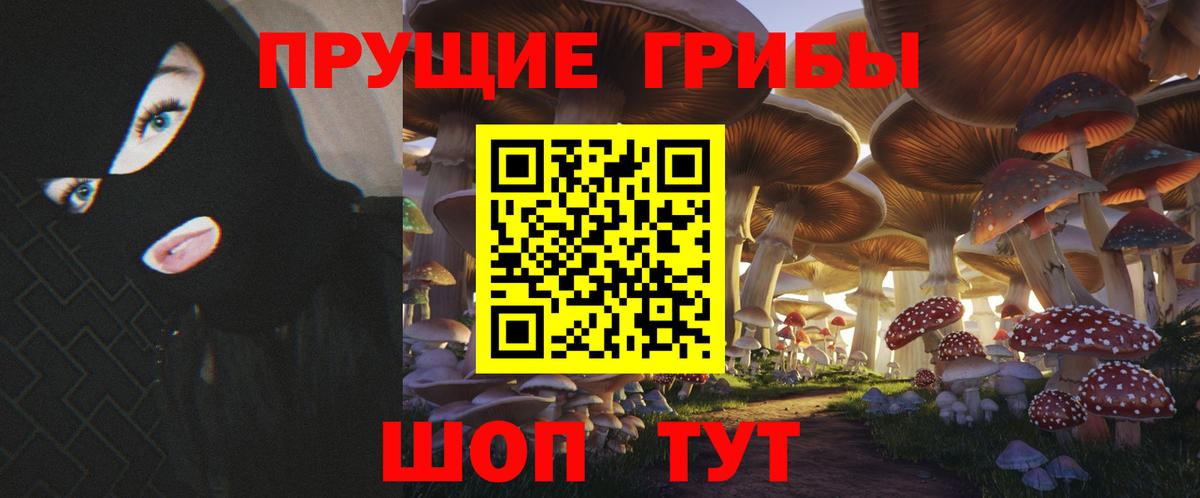Жуковский  Галлюциногенные грибы ЛСД  Вход с VPN 